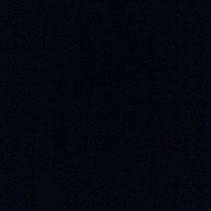 Meet your Posher, Elsa